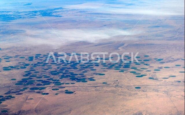 Aerial view of circular agriculture fields in the Arabian desert in Saudi Arabia.