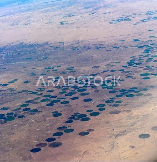 Aerial view of circular agriculture fields in the Arabian desert in Saudi Arabia.