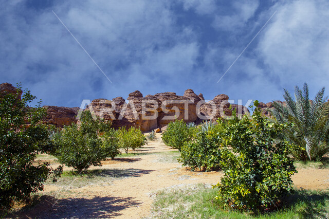 التكوينات والتشكيلات الصخرية الطبيعية في مدينة العلا بالمملكة العربية السعودية، المعالم التاريخية السياحية، جمال الطبيعة الصحراوية، الجبال الصخرية في العلا، الأشجار والنباتات الخضراء، السياحة في السعودية