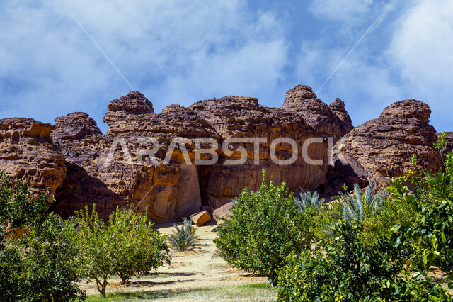 التكوينات والتشكيلات الصخرية الطبيعية في مدينة العلا بالمملكة العربية السعودية، المعالم التاريخية السياحية، جمال الطبيعة الصحراوية، الجبال الصخرية في العلا، الأشجار والنباتات الخضراء، السياحة في السعودية