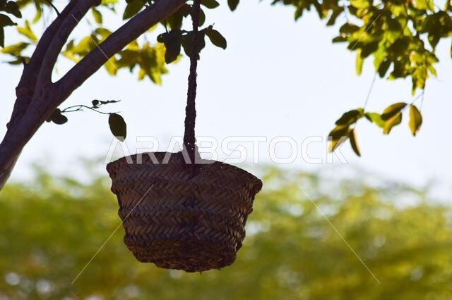 Hand made dates tree box tool, palm leaf dry jar hanging on wood in garden, brown background culture thing photo