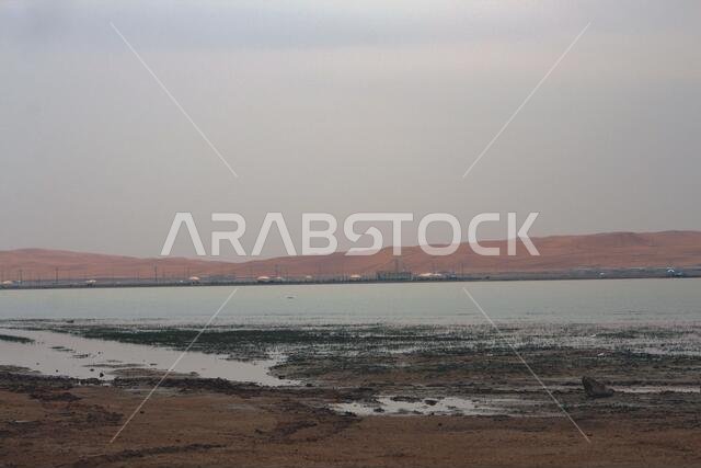 Rain in the sand Saudi Arabia desert