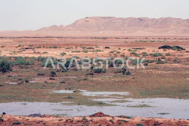 صحاري نجد