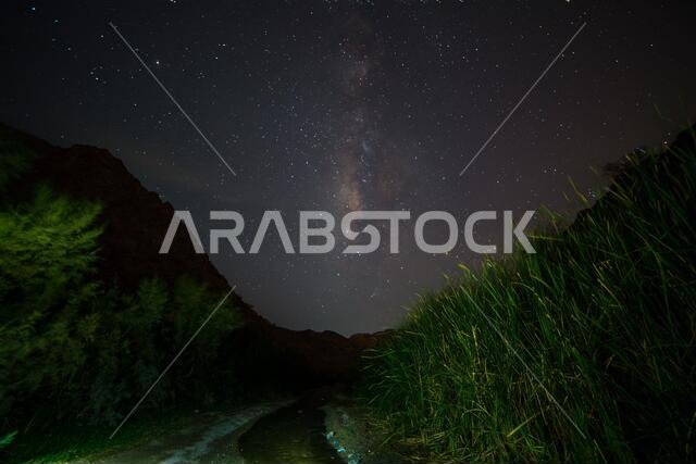 Night View of Saudi Desserts