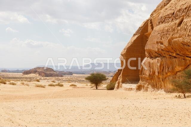 جبل البنات، أحد أكبر تجمعات المقابر في الحِجر، يضم 29 مقبرة ذات واجهات منحوتة بمهارة على جميع جوانب صخرة الحجر الرملي،