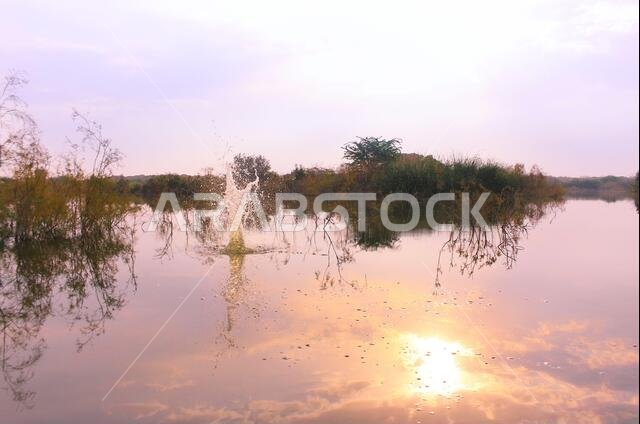 desert lake in taif saudi arabia