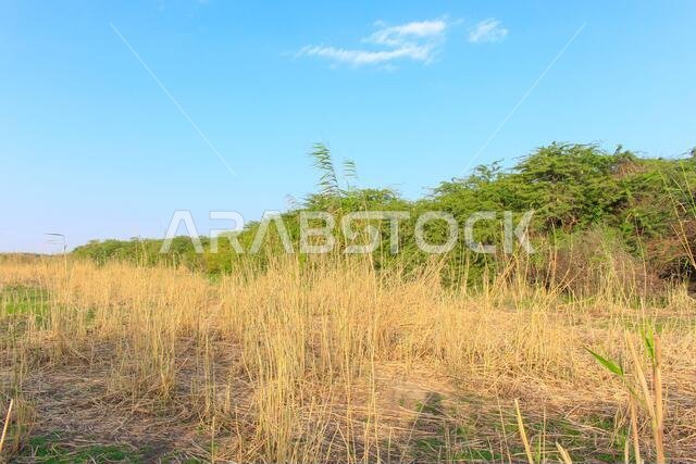 desert mountain landscape saudi arabia