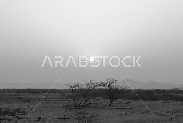 desert mountain landscape saudi arabia
