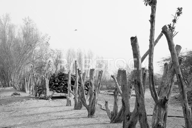 desert mountain landscape saudi arabia