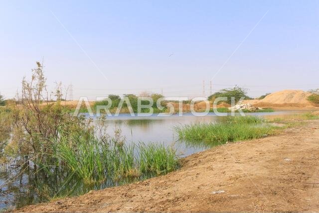 بحيرة صحراوية في الطائف بالمملكة العربية السعودية