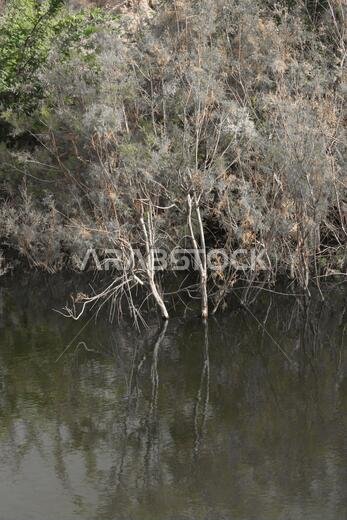 desert lake in taif saudi arabia