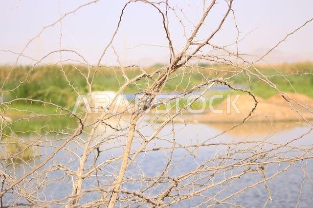 بحيرة صحراوية في الطائف بالمملكة العربية السعودية بحيرة صحراوية في الطائف بالمملكة العربية السعودية