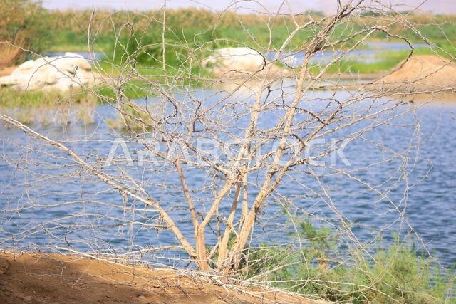 desert lake in taif saudi arabia