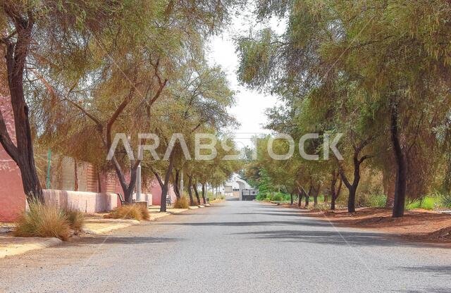 desert mountain landscape saudi arabia