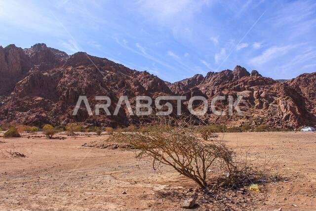 منظر طبيعي صحراوي جبلي في المملكة العربية السعودية