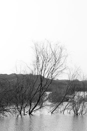 desert lake in taif saudi arabia