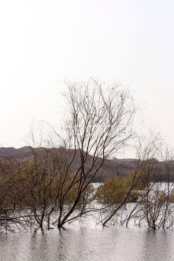 desert lake in taif saudi arabia