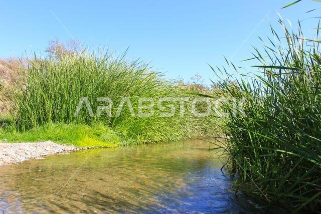 desert lake in taif saudi arabia