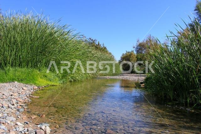 desert lake in taif saudi arabia