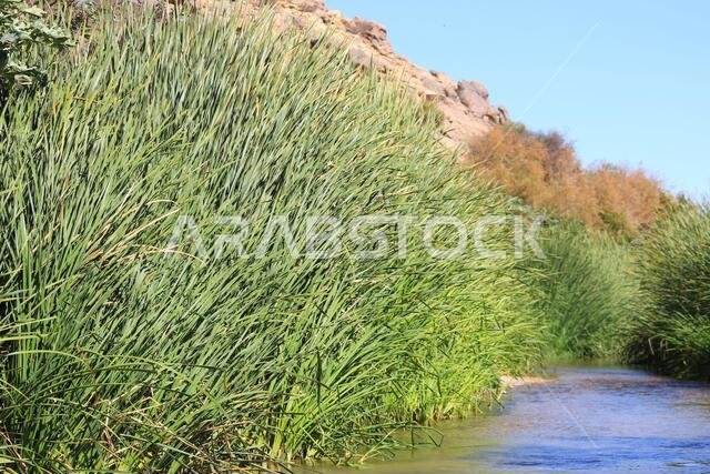 desert lake in taif saudi arabia desert lake in taif saudi arabia