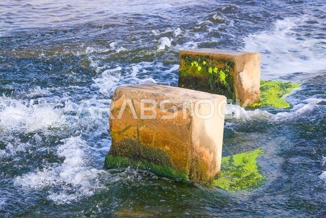 desert lake in taif saudi arabia