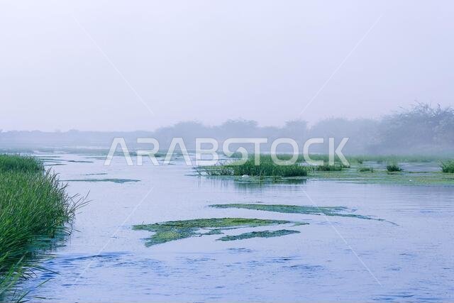 desert lake in taif saudi arabia