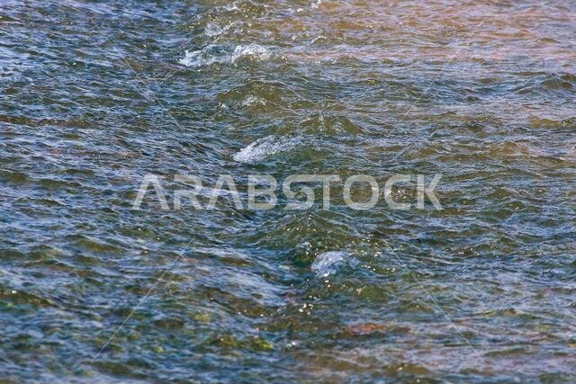 desert lake in taif saudi arabia