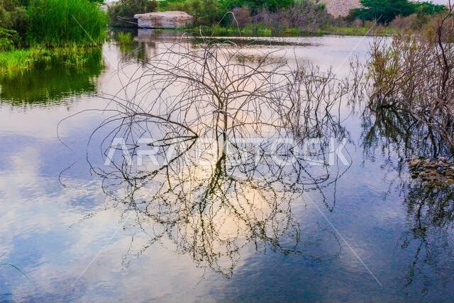desert lake in taif saudi arabia