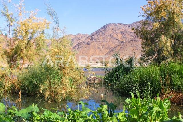 natural valley rural life in saudi arabia