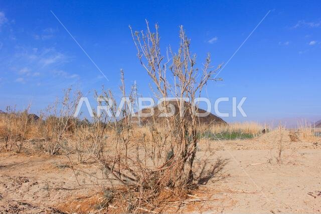 desert mountain landscape saudi arabia