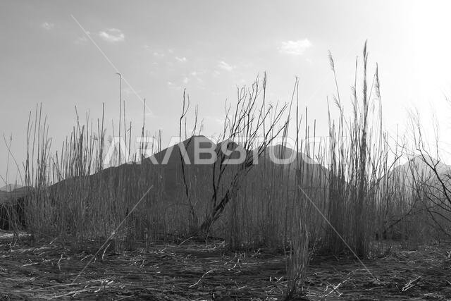 desert mountain landscape saudi arabia desert mountain landscape saudi arabia