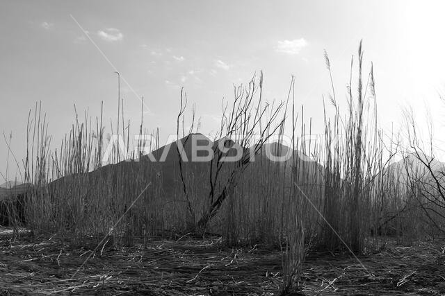 desert mountain landscape saudi arabia