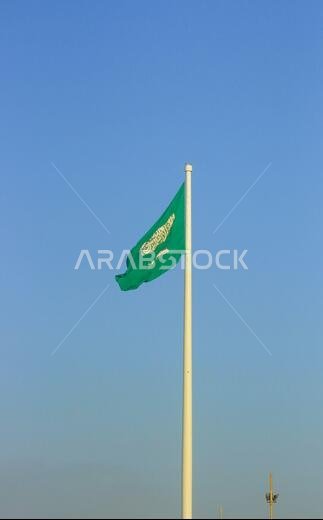 saudi arabian flag