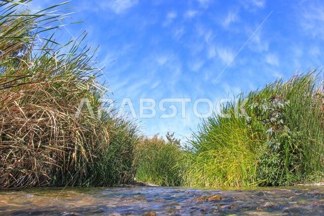 desert lake in taif saudi arabia