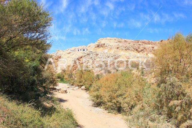 بحيرة صحراوية في الطائف بالمملكة العربية السعودية بحيرة صحراوية في الطائف بالمملكة العربية السعودية