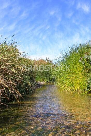 desert lake in taif saudi arabia
