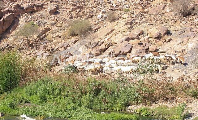 desert mountain landscape saudi arabia