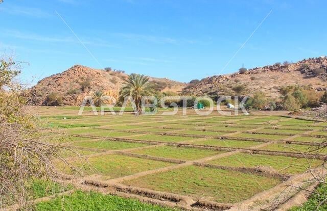 desert mountain landscape saudi arabia
