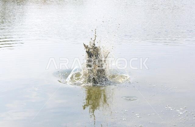 desert lake in taif saudi arabia