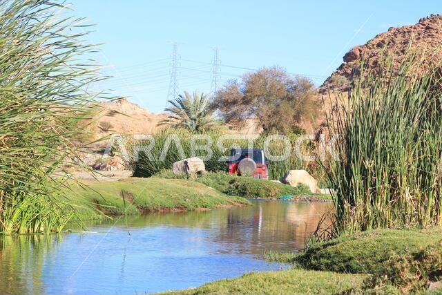 الحياة الريفية في الوادي الطبيعي في المملكة العربية السعودية