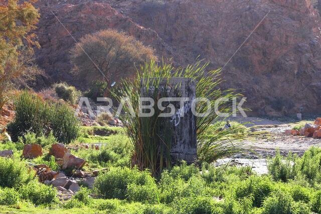 natural valley rural life in saudi arabia