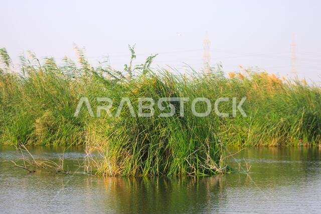 desert lake in taif saudi arabia