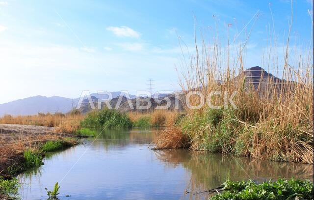 desert lake in taif saudi arabia