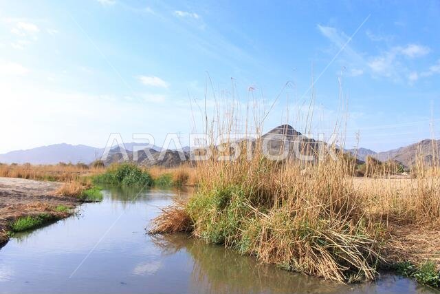 desert lake in taif saudi arabia