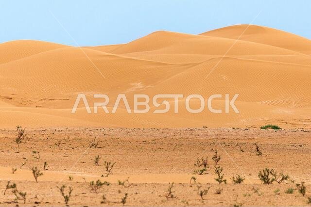 Bend of the ridge of a sand dune in the desert.