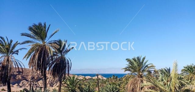 Wadi Tayyib Al Ism Magna, Saudi Arabia