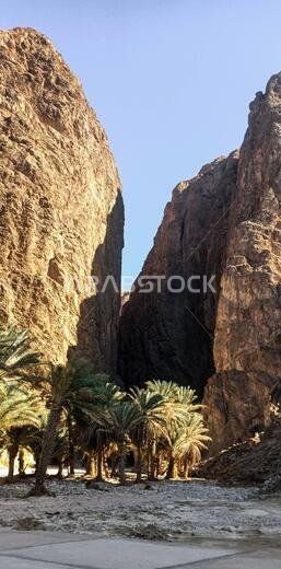 Wadi Tayyib Al Ism Magna, Saudi Arabia