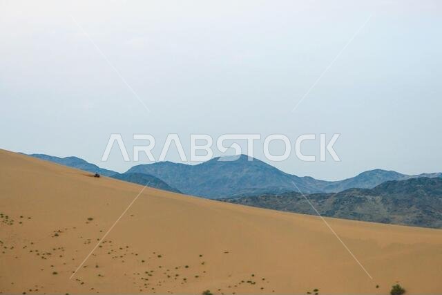sand dunes in saudi arabia