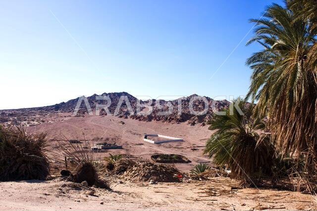 Saudi Arabian farm land