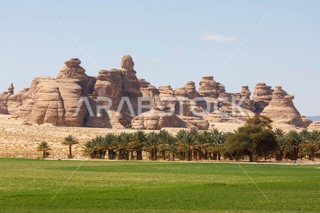 منظر طبيعي بالقرب من العلا، المملكة العربية السعودية، مع أشجار النخيل